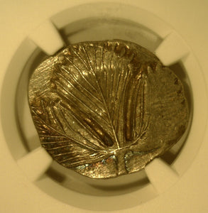 Sicily, Selinus c. 540-480 B.C. AR Didrachm