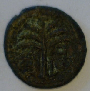 Judaea. Bar Kochba Revolt. 133-134 A.D. Year 2. Bronze 20mm.
