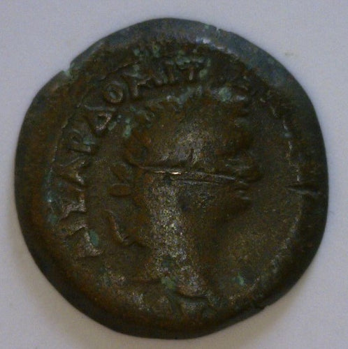 Roman Egypt. Domitian 81-96 A.D. Bronze Obol. - James Beach Rare Coins