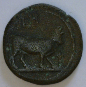 Roman Egypt. Domitian 81-96 A.D. Bronze Obol. - James Beach Rare Coins