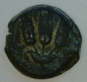 Judaea, Herodians. Agrippa I 37-43 A.D. Bronze Prutah. - James Beach Rare Coins